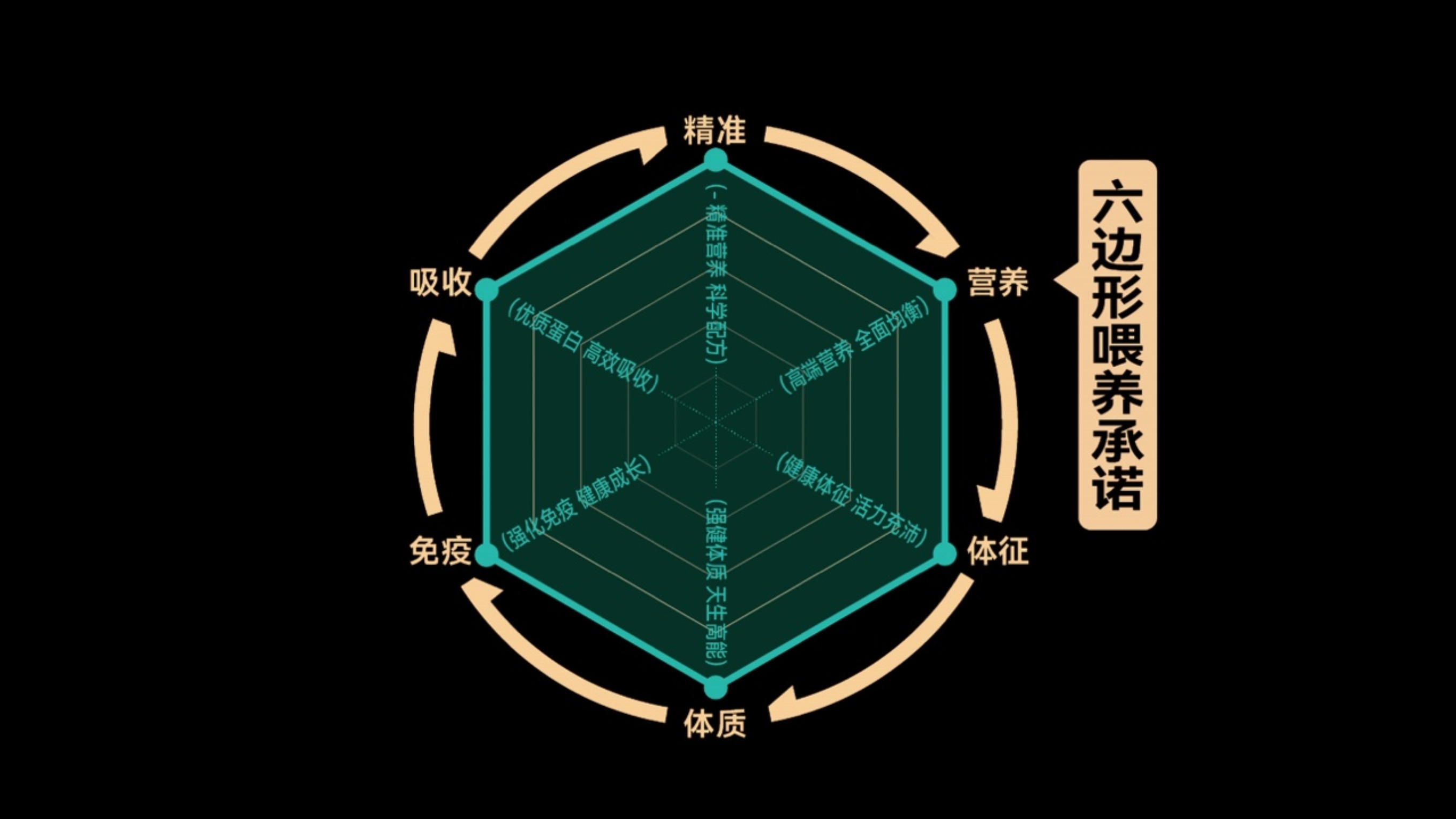 六边形喂养承诺-01_resized.jpg